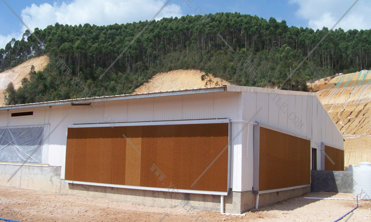 還在為廠房的墻體煩惱嗎？使用星發(fā)優(yōu)質(zhì)墻體廠房塑料瓦