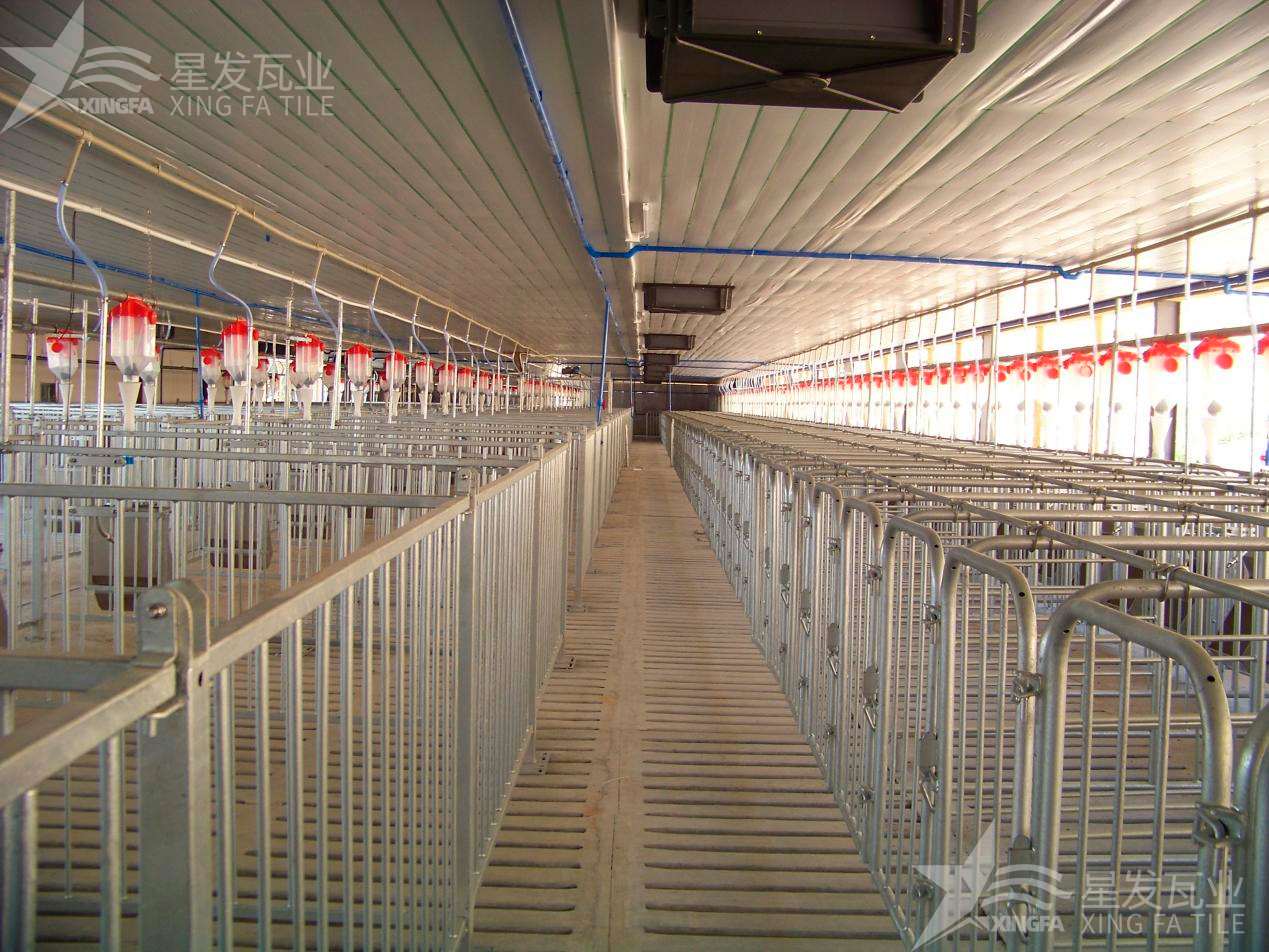 炎炎夏日即將來臨，為什么養(yǎng)殖場(chǎng)越來越多地選擇PVC瓦？